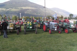 DSCF0001 (Copia)