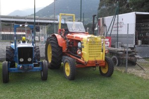 DSCF0004 (Copia)
