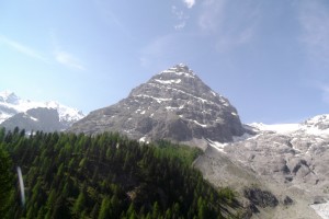DSCF0037 (Copia)
