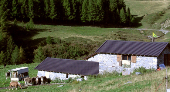 Dritte Etappe: Località Malga Cadino (1700 mt)